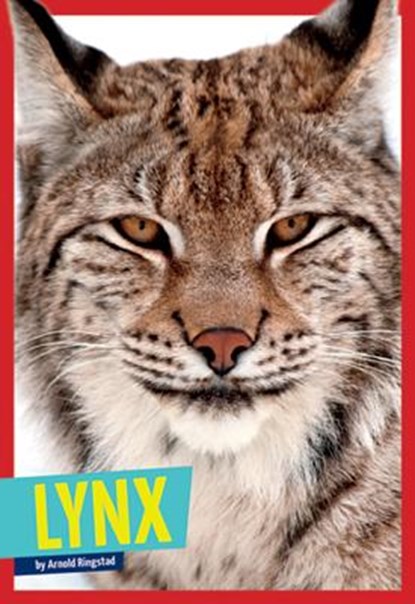 Lynx, Arnold Ringstad - Paperback - 9781622432523