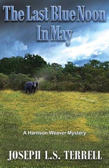 The Last Blue Noon In May, Joseph L. S. Terrell - Paperback - 9781622681259