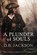 A Plunder of Souls, D. B. Jackson - Paperback - 9781622681624