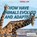 How Have Animals Evolved and Adapted?, SWANSON,  Jennifer A. - Paperback - 9781622759972