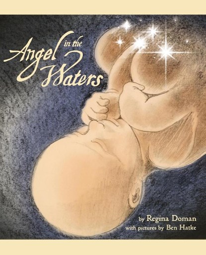 Angel in the Waters, Regina Doman - Paperback - 9781622828760
