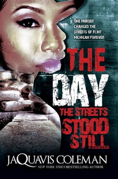 The Day the Streets Stood Still, JaQuavis Coleman - Ebook - 9781622860678