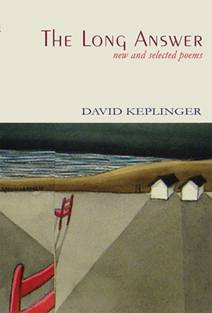 The Long Answer, David Keplinger - Paperback - 9781622883080