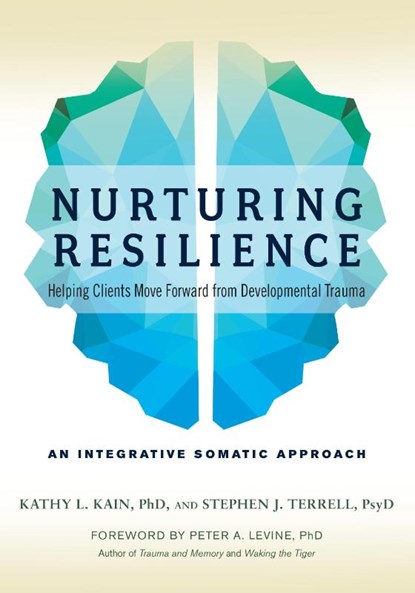 Nurturing Resilience, Kathy L. Kain ; Stephen J. Terrell - Paperback - 9781623172039