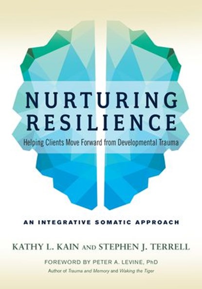 Nurturing Resilience, Kathy L. Kain ; Stephen J. Terrell - Ebook - 9781623172046