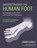 Earls, J: Understanding the Human Foot, James Earls - Paperback - 9781623176570