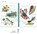 Birder's Notebook A5 Notebook, Flora Waycott - Gebonden - 9781623258184