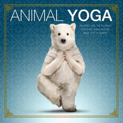 Animal Yoga, Donnie Rubo - Gebonden - 9781623435639