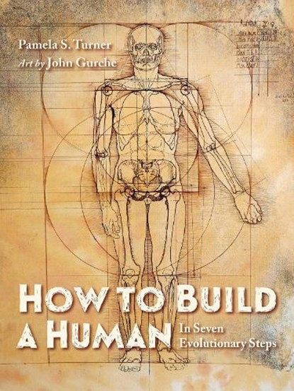 How to Build a Human, Pamela S. Turner ; John Gurche - Gebonden - 9781623542504