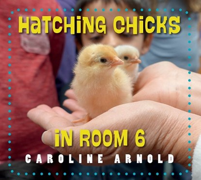 Hatching Chicks in Room 6, Caroline Arnold - Paperback - 9781623542689