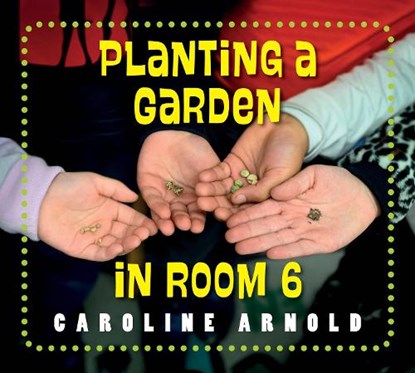 Planting a Garden in Room 6, Caroline Arnold - Paperback - 9781623544300