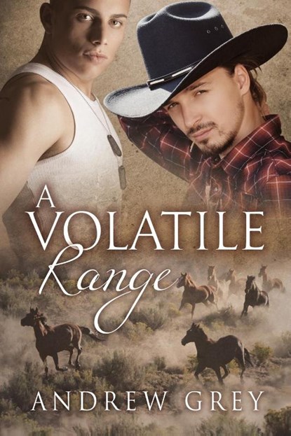 A Volatile Range Volume 6, Andrew Grey - Paperback - 9781623803339
