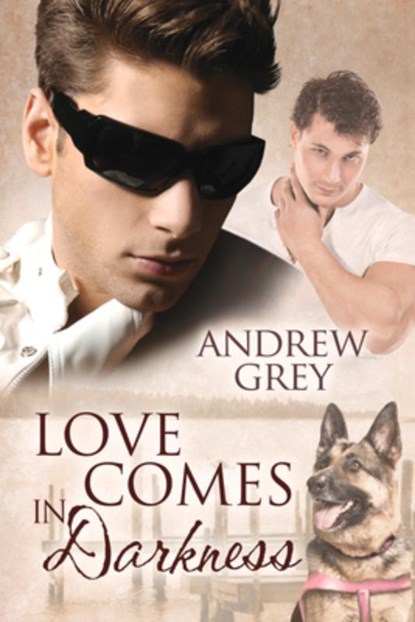 Love Comes in Darkness, Andrew Grey - Paperback - 9781623809515