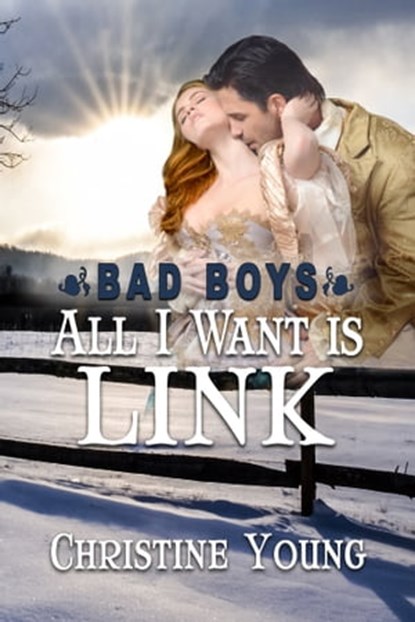 All I Want is Link, Christine Young - Ebook - 9781624206511