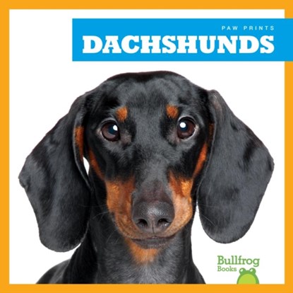 Dachshunds, Kaitlyn Duling - Gebonden - 9781624967689
