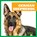 German Shepherds, Kaitlyn Duling - Gebonden - 9781624967726