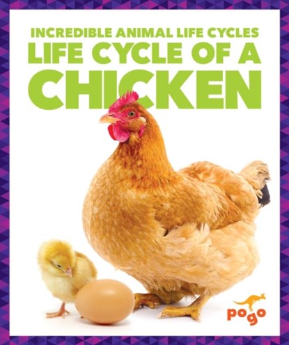 Life Cycle of a Chicken, Karen Latchana Kenney - Gebonden - 9781624968068