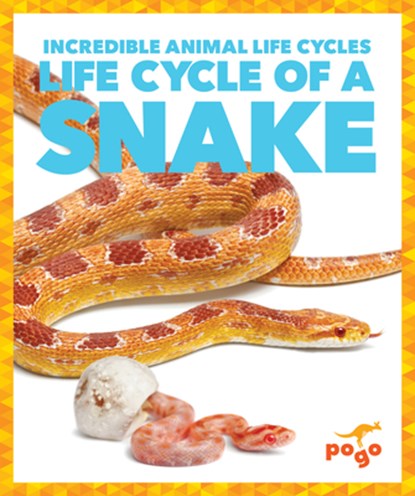 Life Cycle of a Snake, Karen Kenney - Paperback - 9781624968228