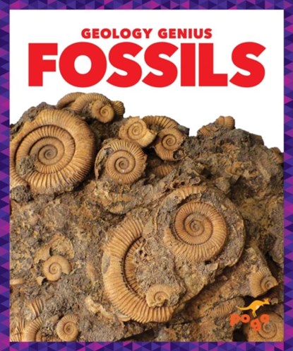 Fossils, Rebecca Pettiford - Gebonden - 9781624968273