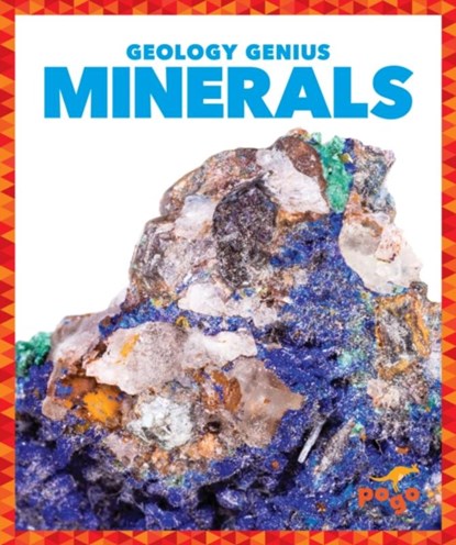 Minerals, Rebecca Pettiford - Gebonden - 9781624968396