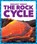 The Rock Cycle, Rebecca Pettiford - Gebonden - 9781624968426