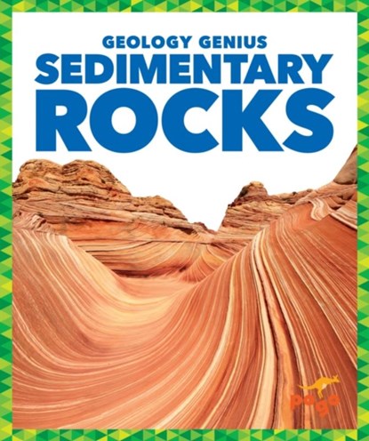 Sedimentary Rocks, Rebecca Pettiford - Gebonden - 9781624968457