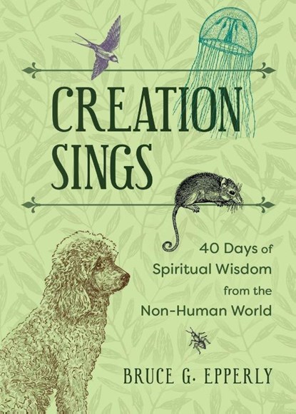 Creation Sings, Bruce G Epperly - Paperback - 9781625249296
