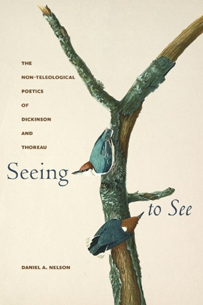 Seeing to See, Daniel A. Nelson - Gebonden - 9781625348579
