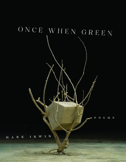Once When Green, Mark Irwin - Paperback - 9781625348654
