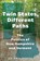 Twin States, Different Paths, Brian L Porto - Gebonden - 9781625349620