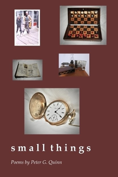 small things, Peter G. Quinn - Paperback - 9781625494306