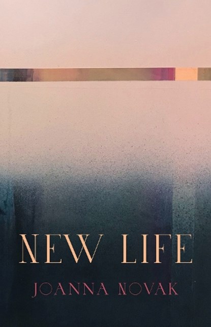 New Life, Joanna Novak - Paperback - 9781625570277