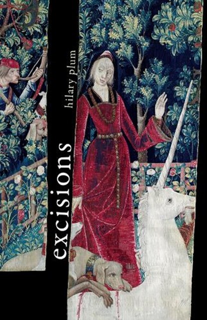 Plum, H: Excisions, Hilary Plum - Paperback - 9781625570451