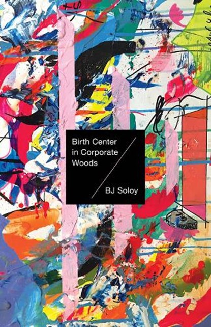 Birth Center in Corporate Woods, Bj Soloy - Paperback - 9781625571557