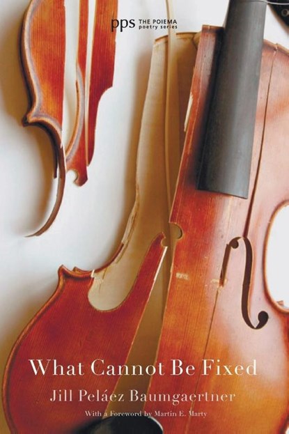 What Cannot Be Fixed, Jill Pelaez Baumgaertner - Paperback - 9781625645869