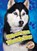 Siberian Huskies, Chris Bowman - Gebonden - 9781626173088