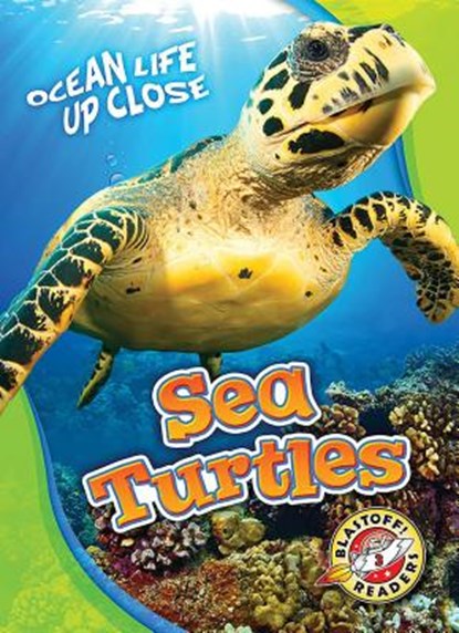 Sea Turtles, Kari Schuetz - Gebonden - 9781626174221