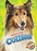 Collies, Mari Schuh - Gebonden - 9781626176126