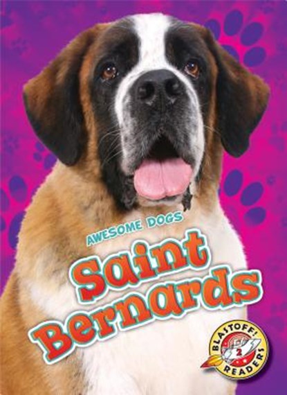 Saint Bernards, Nathan Sommer - Gebonden - 9781626176157