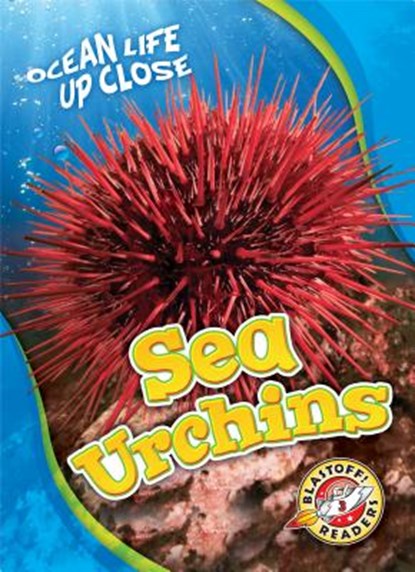 Sea Urchins, Heather Adamson - Gebonden - 9781626176461