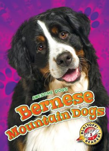 Bernese Mountain Dogs, Rebecca Sabelko - Gebonden - 9781626177390