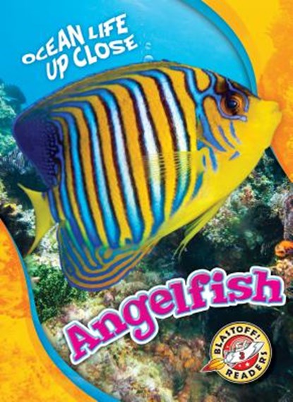 Angelfish, Nathan Sommer - Gebonden - 9781626177642