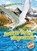 Arctic Tern Migration, Kari Schuetz - Gebonden - 9781626178137