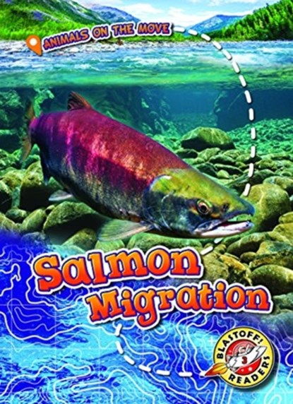 Salmon Migration, Kari Schuetz - Gebonden - 9781626178199