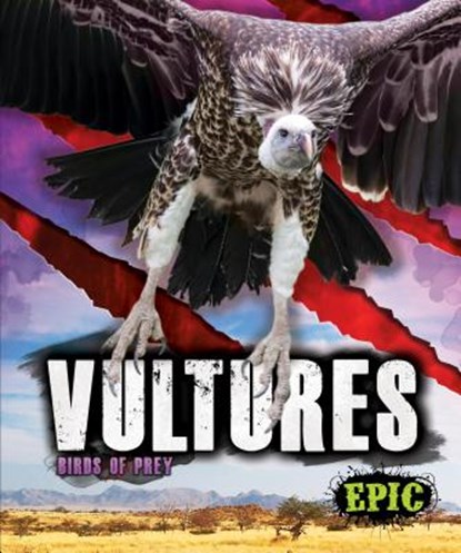 Vultures, Nathan Sommer - Gebonden - 9781626178823