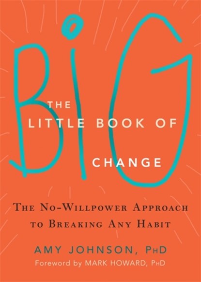The Little Book of Big Change, Amy Johnson - Paperback - 9781626252301