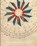 The Voynich Manuscript, Author Unknown - Paperback - 9781626542167