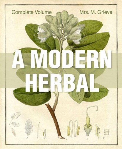 A Modern Herbal, Margaret Grieve - Gebonden - 9781626542242