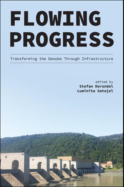 Flowing Progress, Stefan Dorondel ; Luminita Gatejel - Paperback - 9781626711174