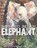 How to be an Elephant, Katherine Roy - Gebonden - 9781626721784
